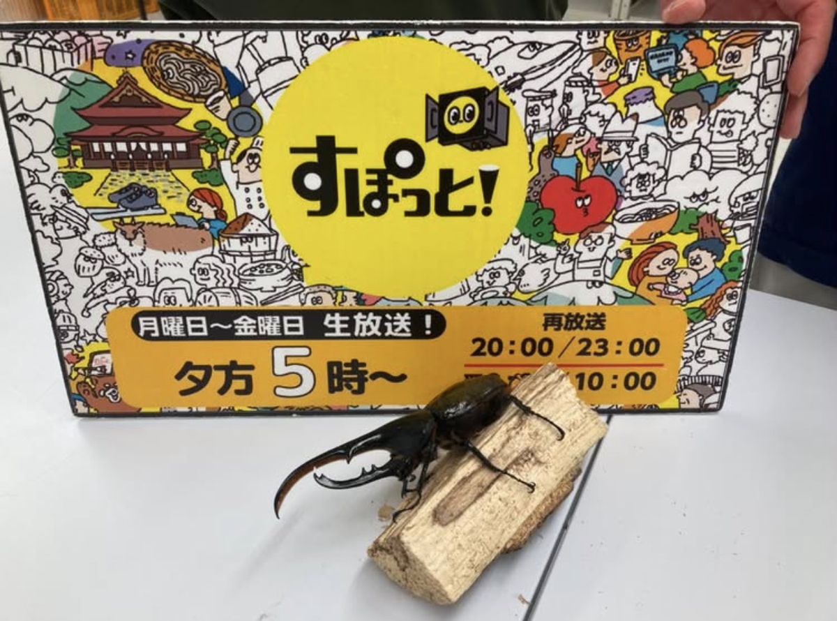 【メディア情報】INC長野ケーブルテレビ『すぽっと！』でヘラクレスファーム長野が紹介されました！
